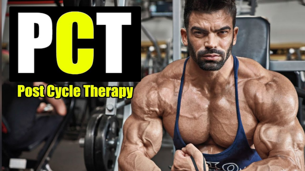 Muscular male athlete in a gym with visible vascularity and strength-focused physique, representing post-cycle recovery and hormonal balance support associated with Tamox 20 Online USA used in PCT protocols.